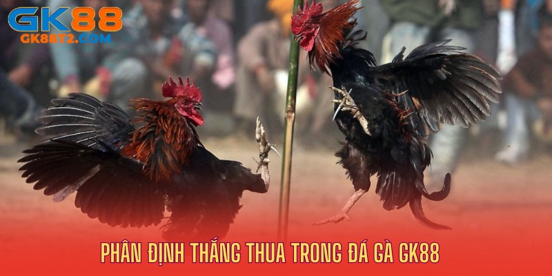 Phân định thắng thua khi cá cược đá gà GK88